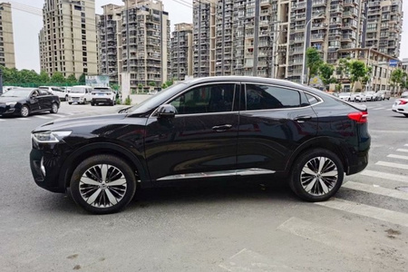 武汉-哈弗f7x 2019款 2.0t 双离合 两驱 极智潮玩版